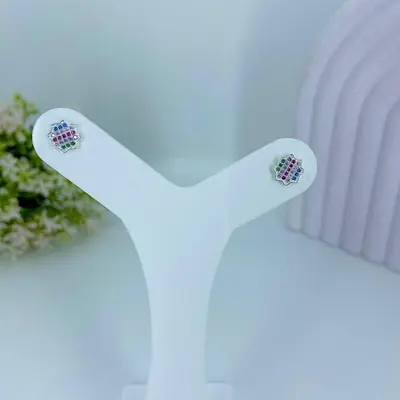 Brinco Harmonia Colors